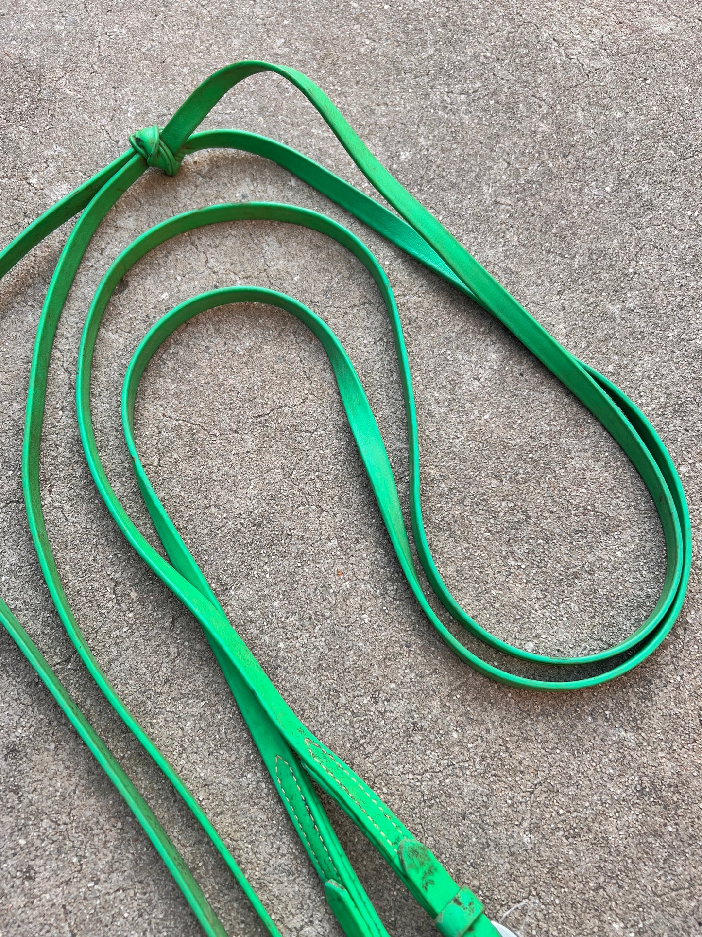 Green Biothane Buckle Split Reins