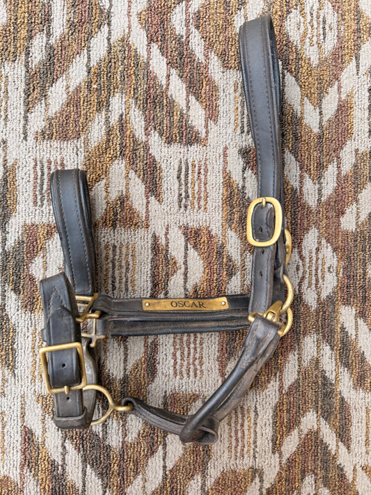 Padded Horse Nameplate Halter