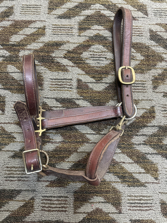 Leather Halter