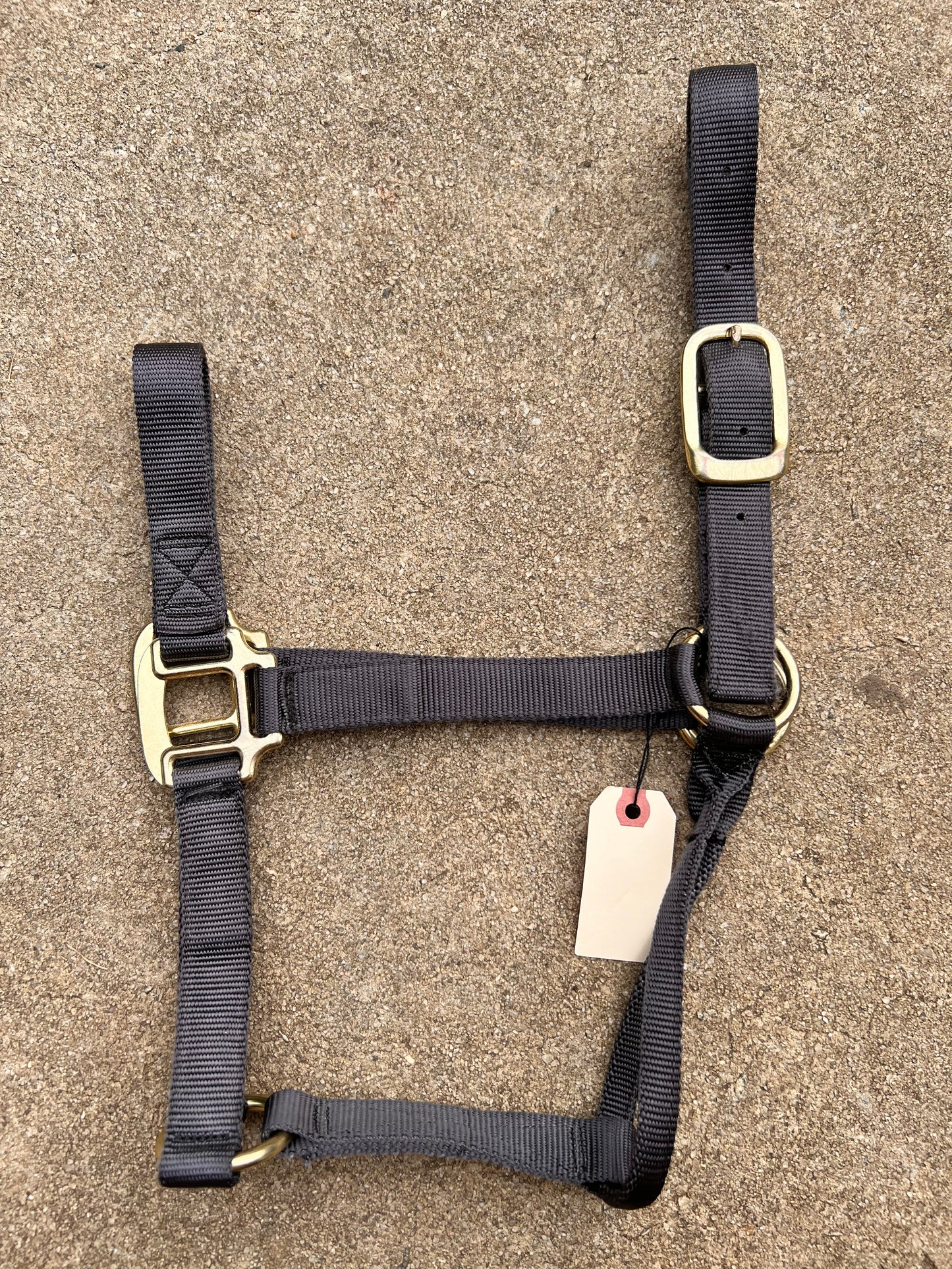 Gray Halter - Medium Horse