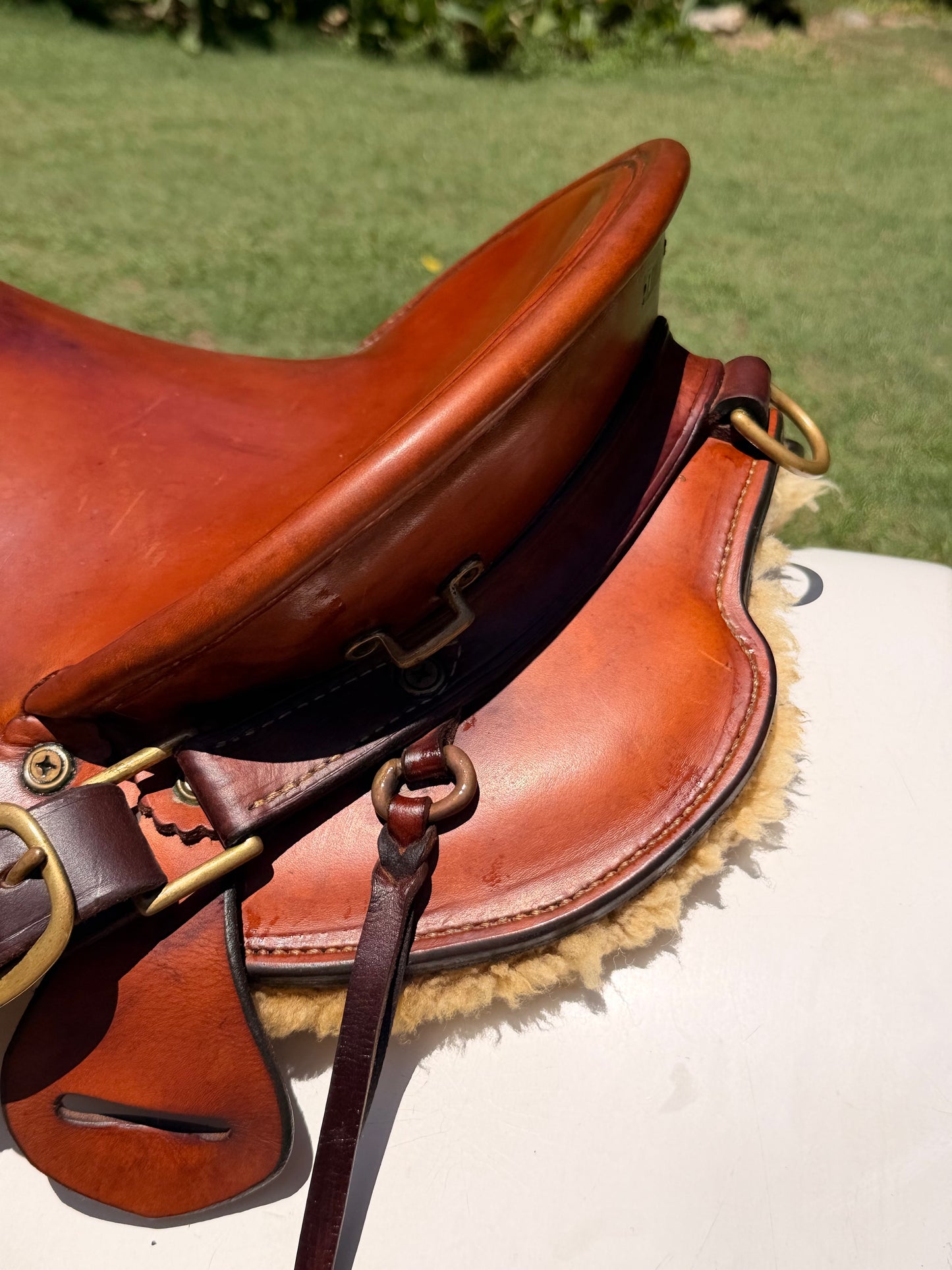 Fred Hook Trail Saddle