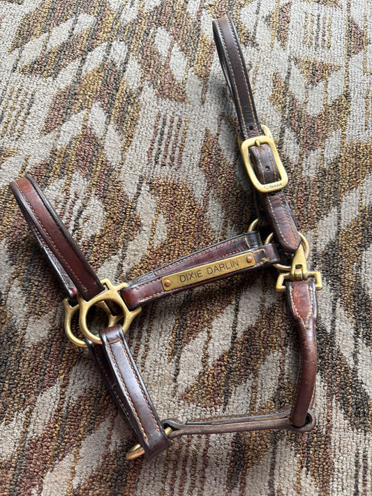 Walsh Leather Halter w/ Nameplate