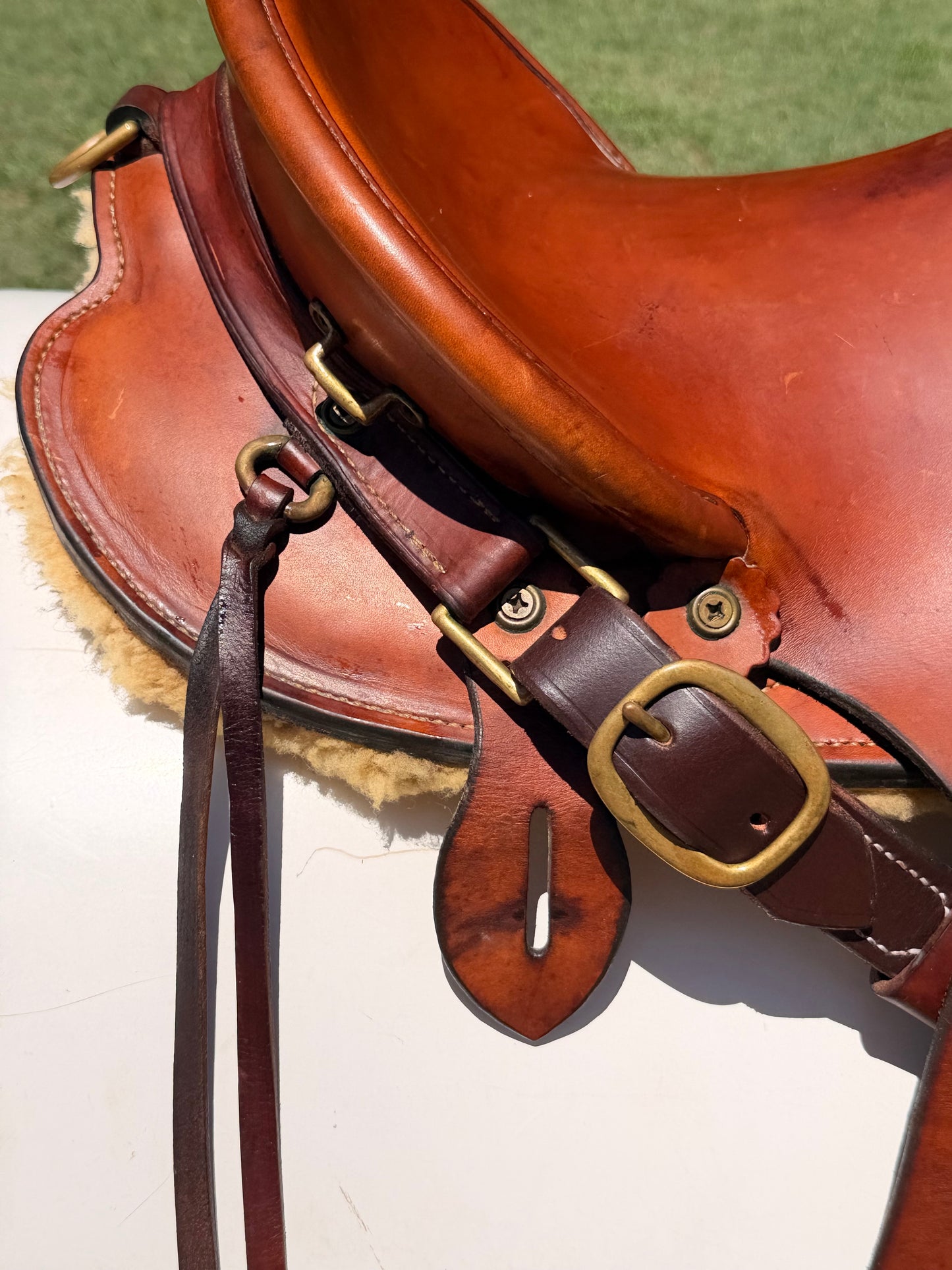 Fred Hook Trail Saddle