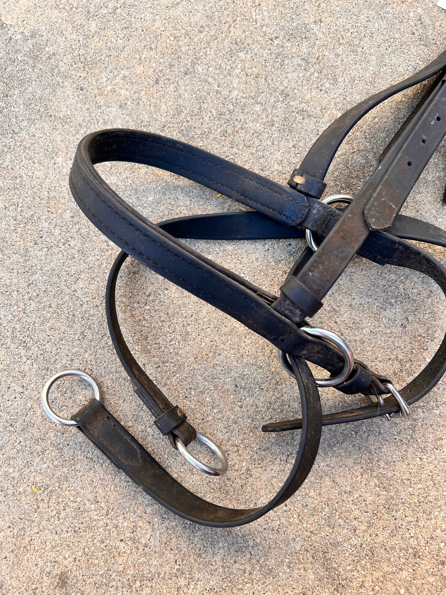 Black Biothane Draft Bitless Bridle