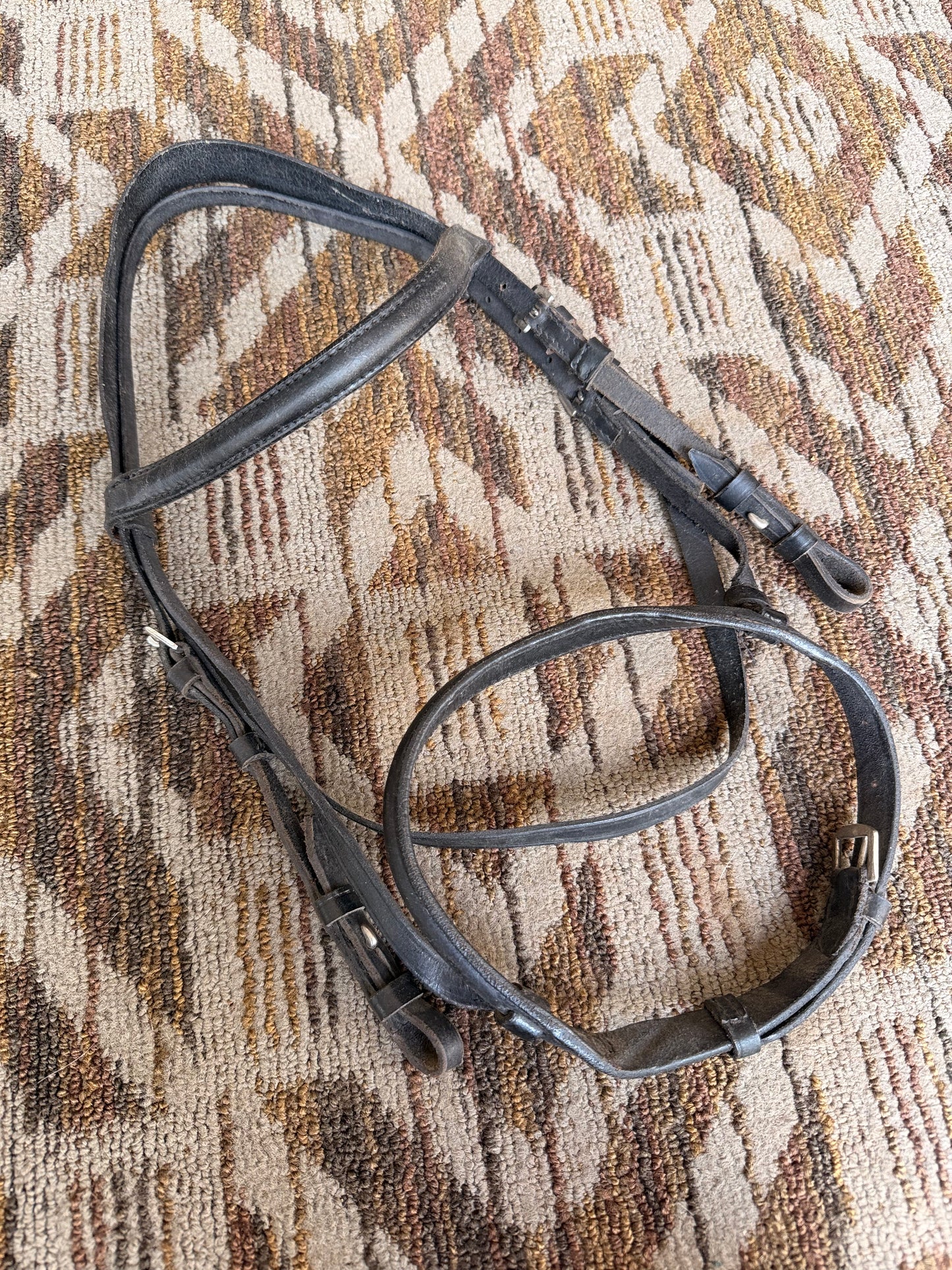 Black Pony Bridle