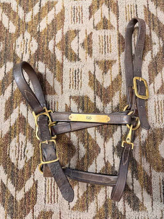 Walsh Nameplate Leather Halter