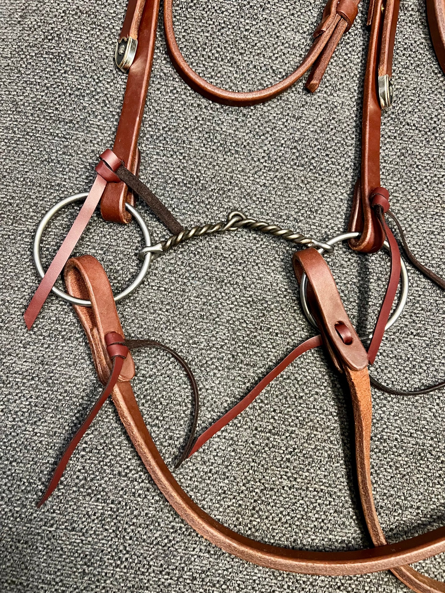 Dale Chavez Futurity Knot Bridle