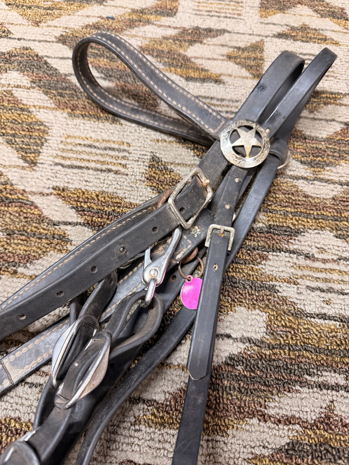 Black Biothane Halter Bridle