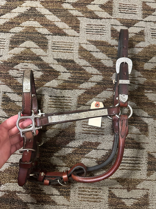 Montana Silversmith Show Halter