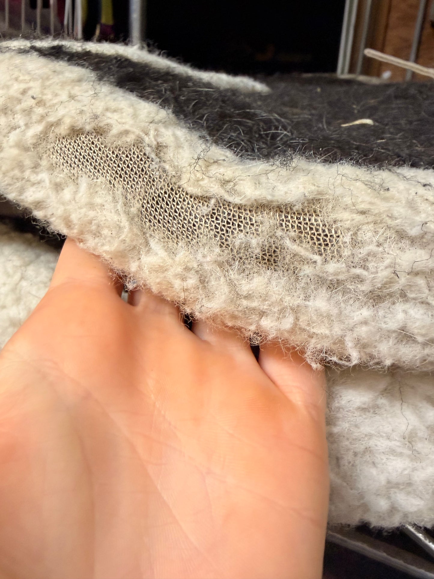 Diamond Wool Half Pad