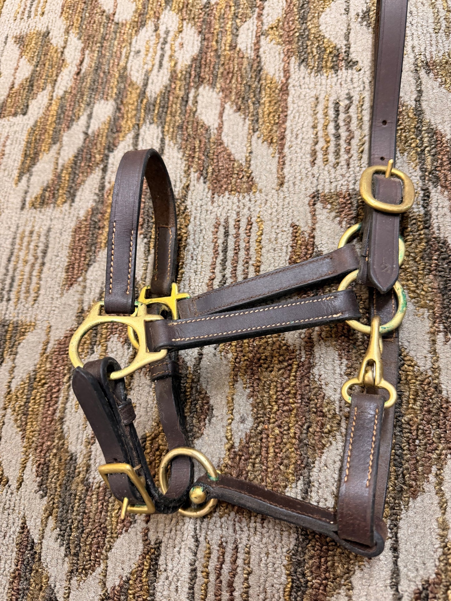 Leather Halter w/ Clip
