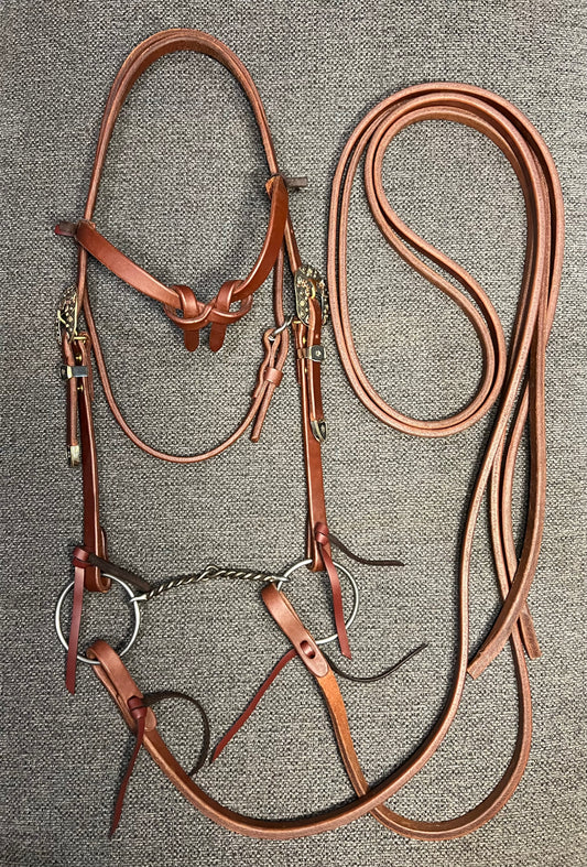 Dale Chavez Futurity Knot Bridle