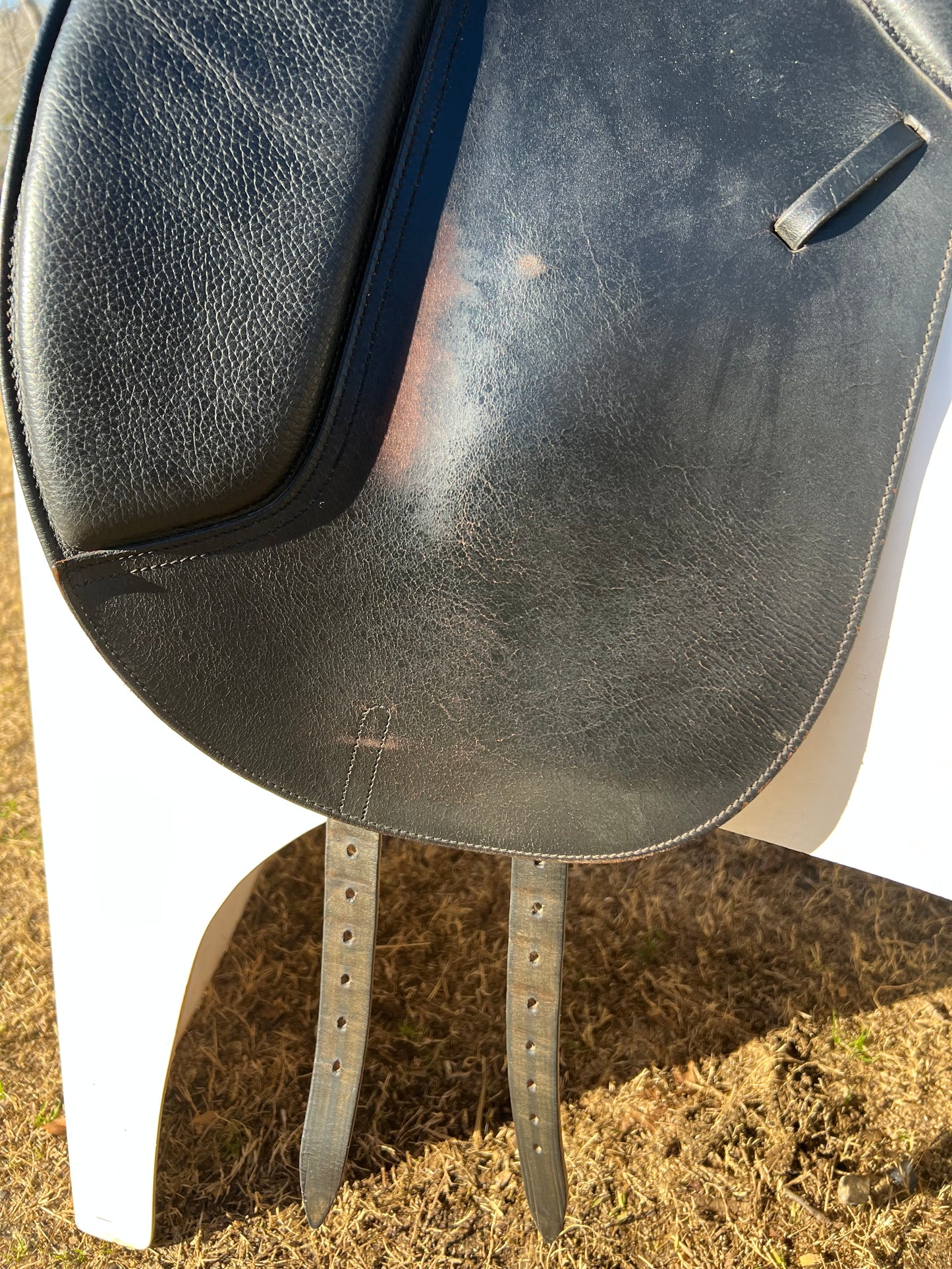 Collegiate Dressage Saddle