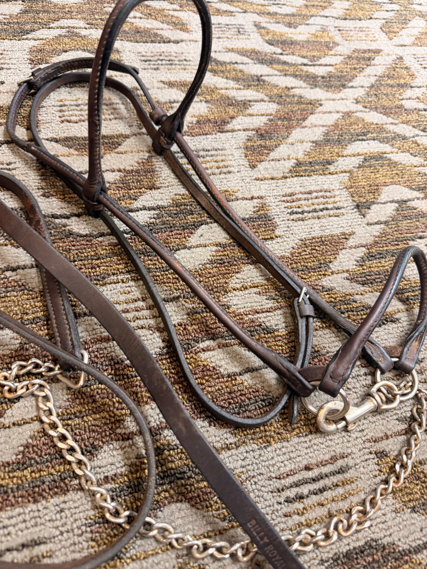 Billy Royal Arabian Show Halter w/ Lead