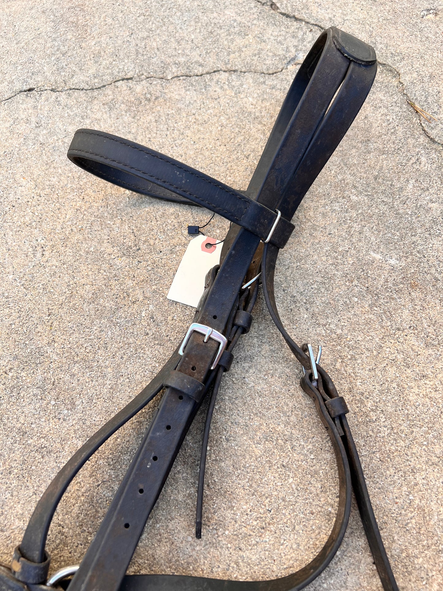 Black Biothane Draft Bitless Bridle