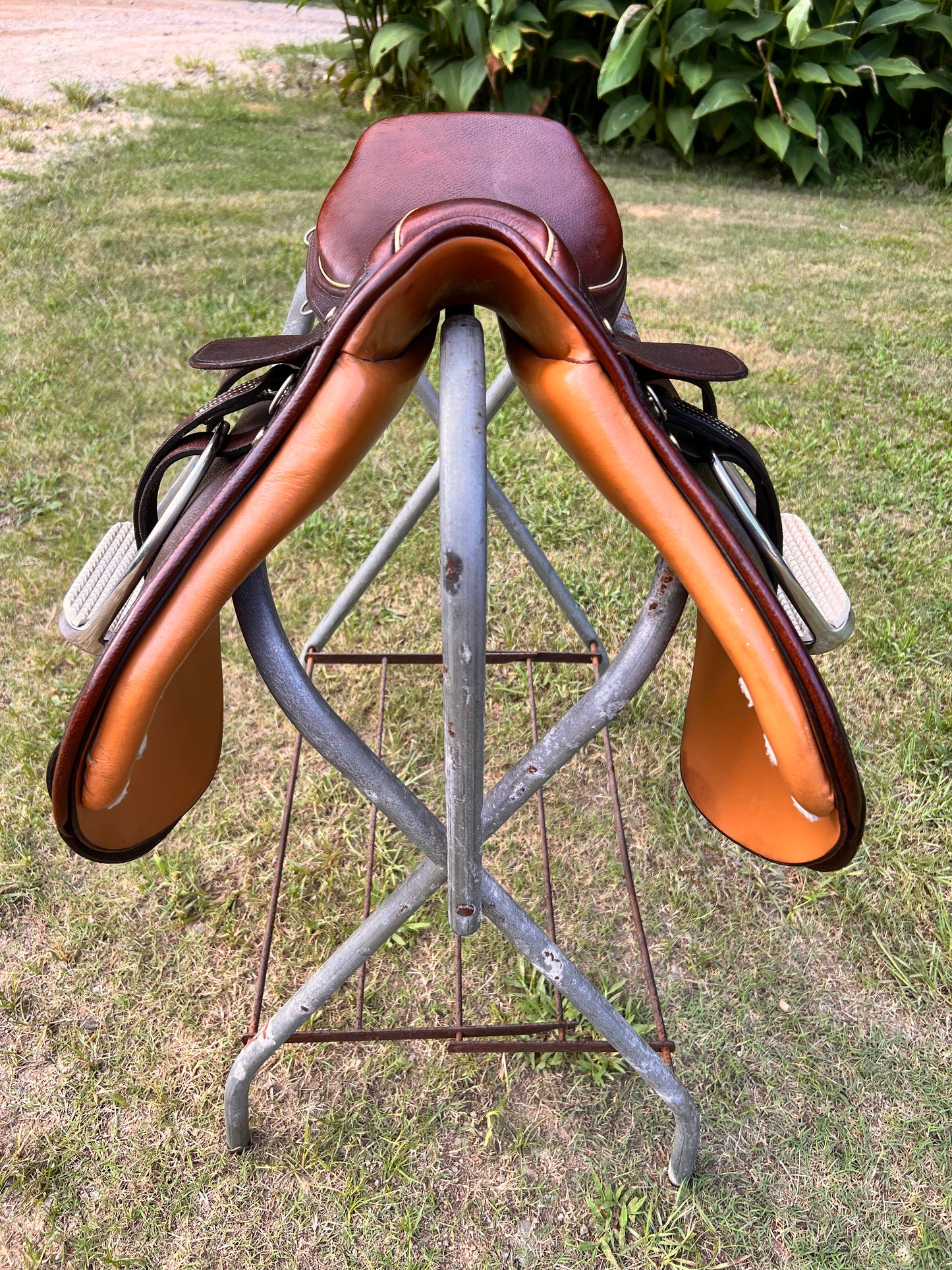 Courbette Derby Close Contact Saddle