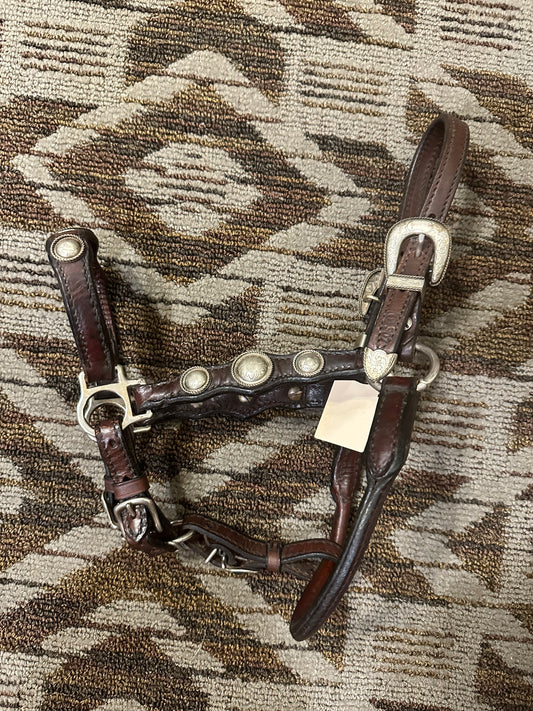 Circle Y Show Halter