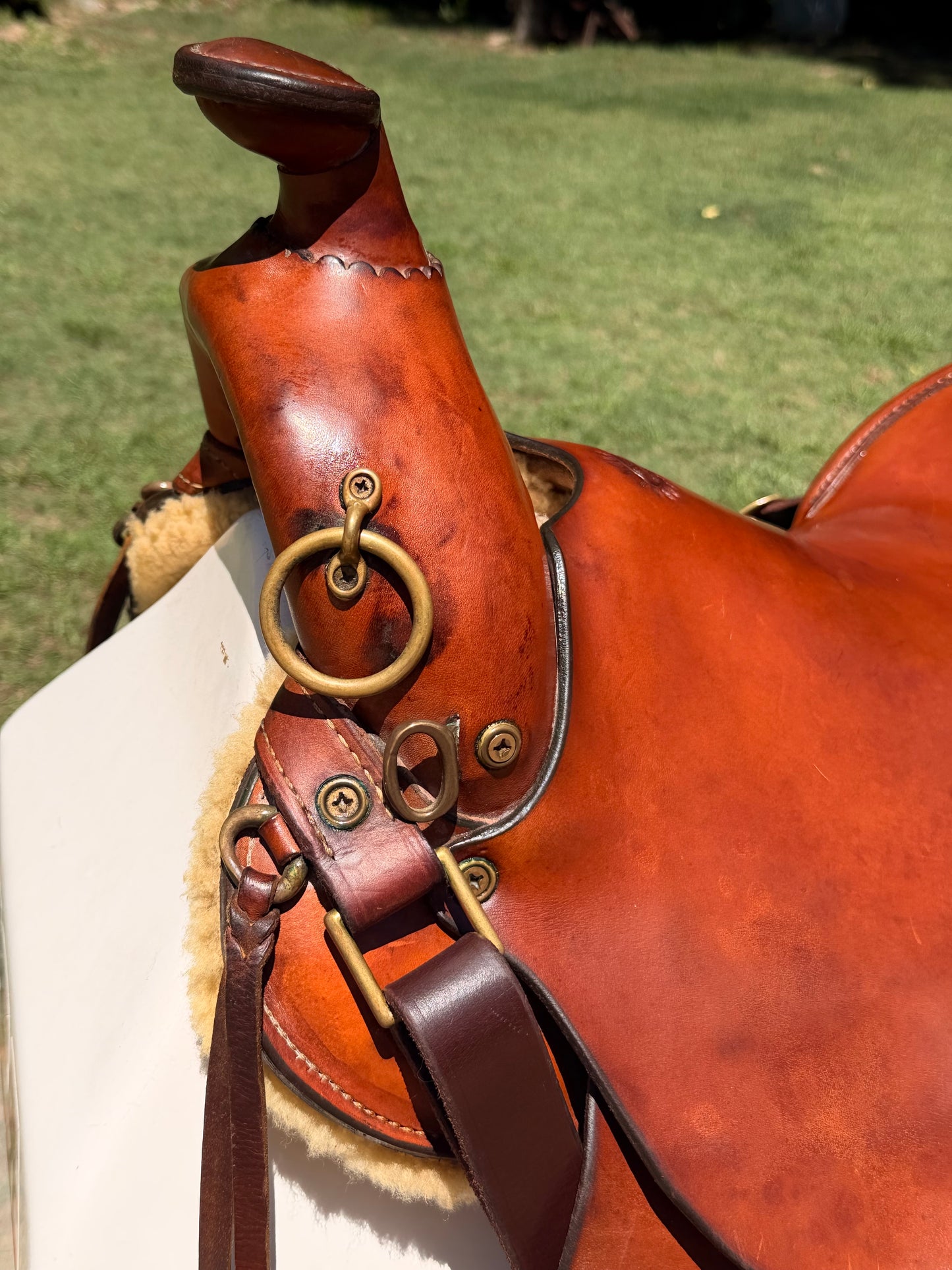 Fred Hook Trail Saddle