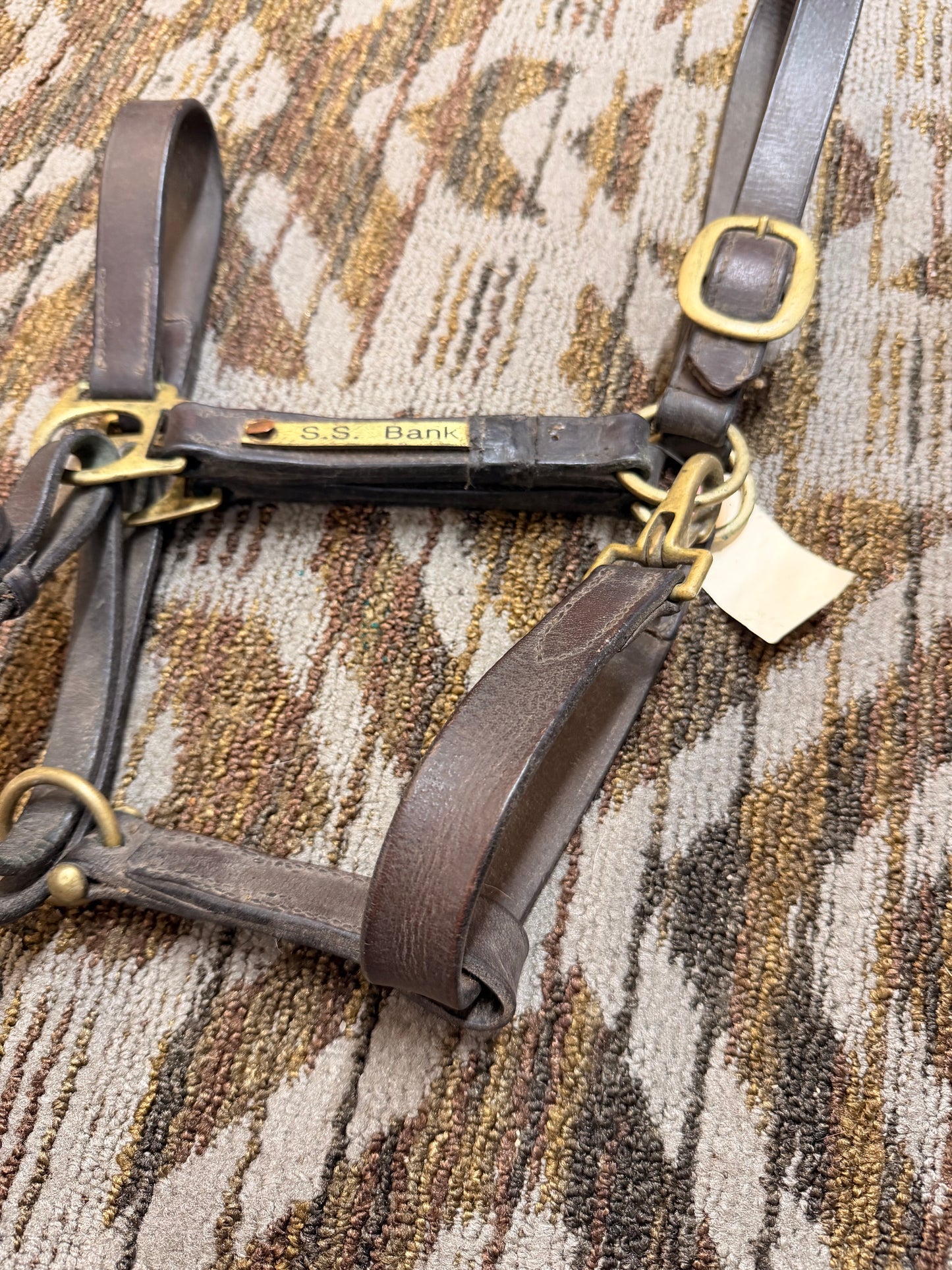 Cob Leather Halter w/ Nameplate