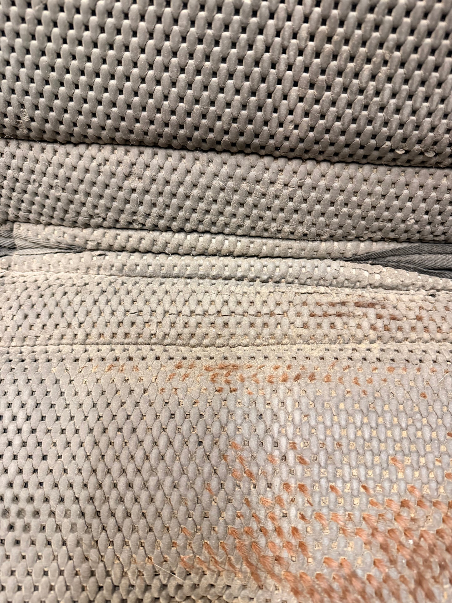 Circle Y Tacky Too Long Contoured Pad