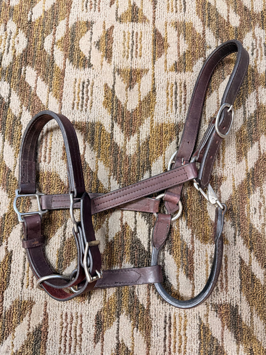 Triple Stitched Leather Haltee