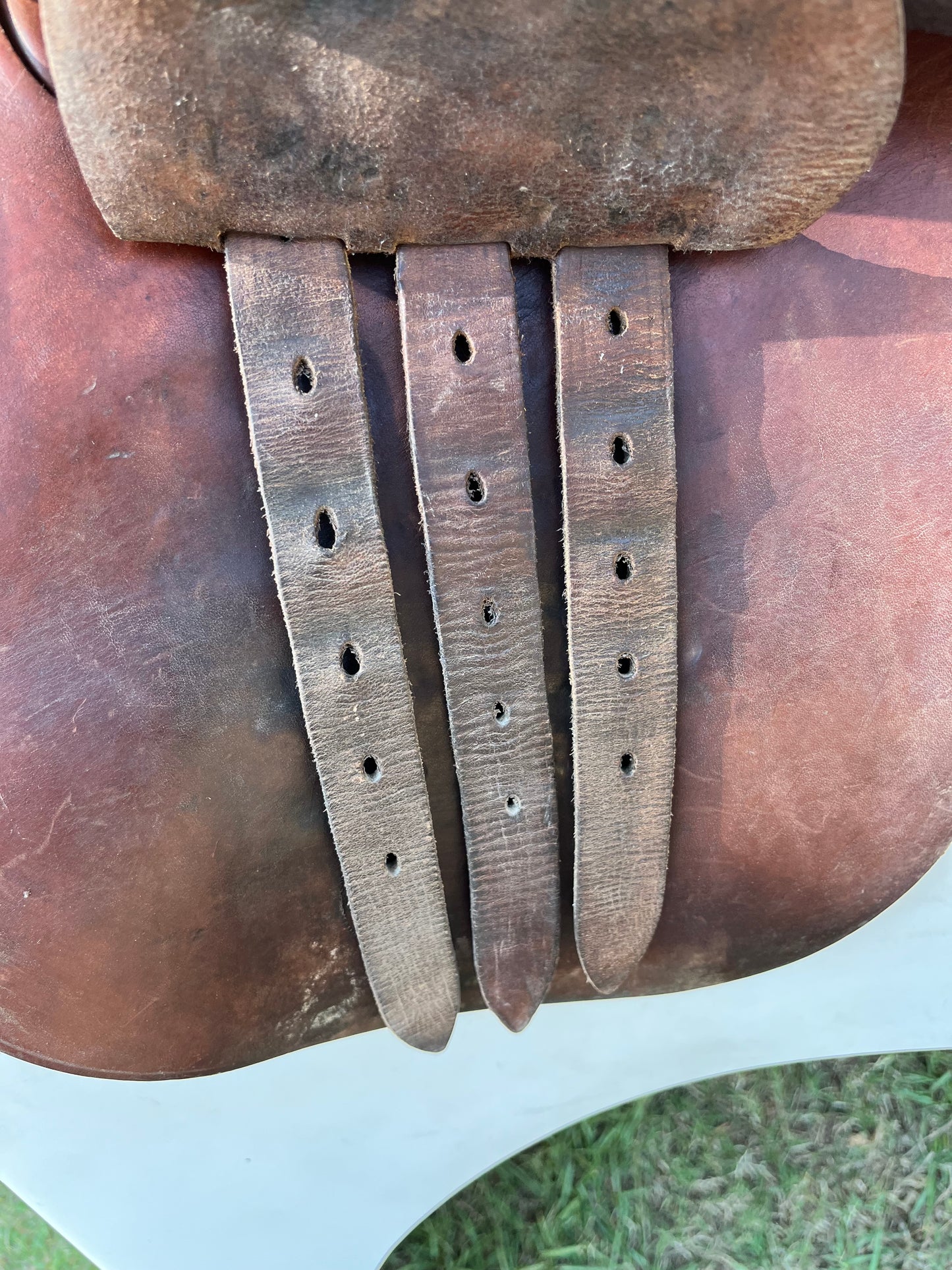 Collegiate Close Contact Saddle