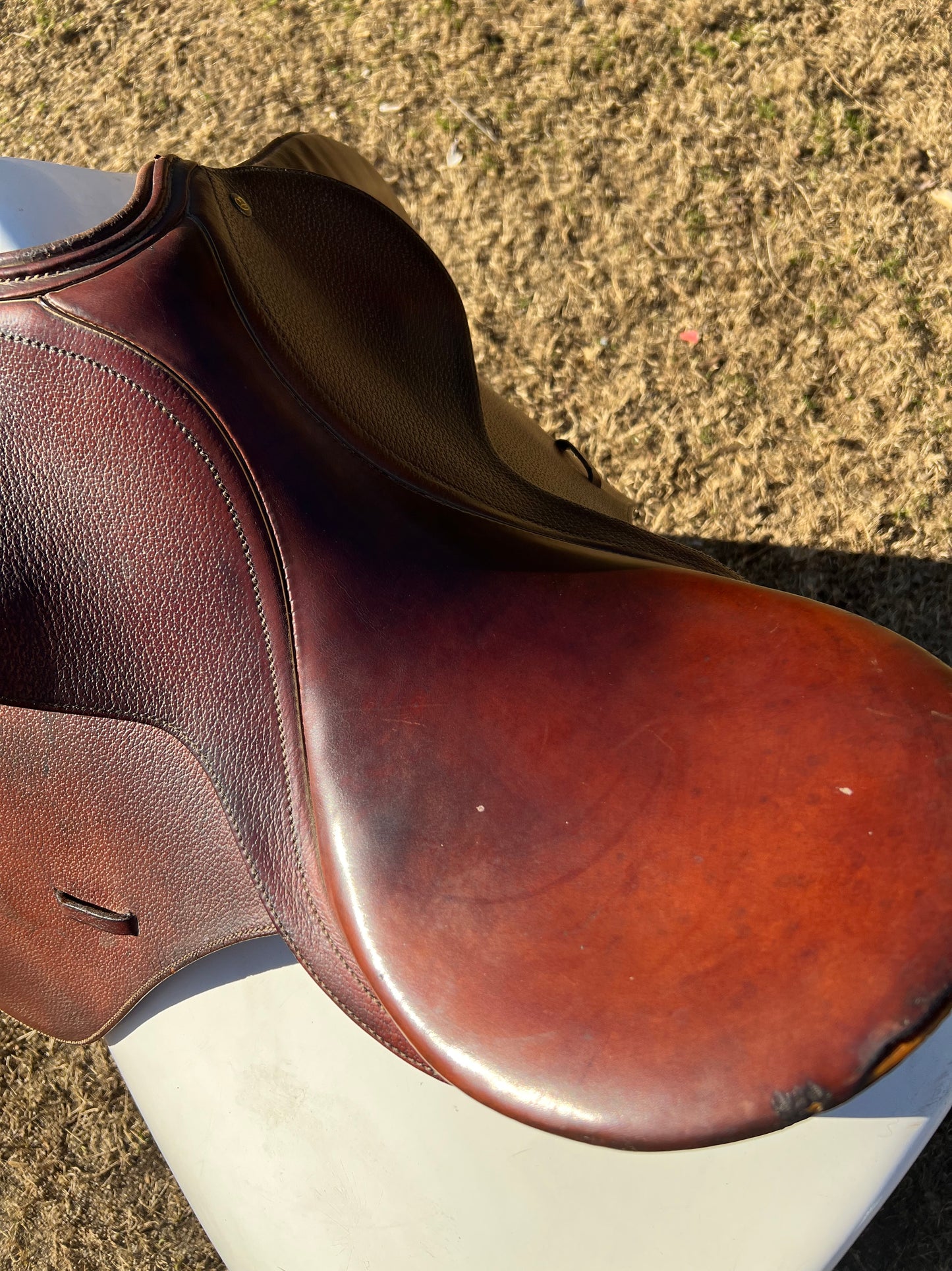 Caprilli by Bates All Purpose Saddle