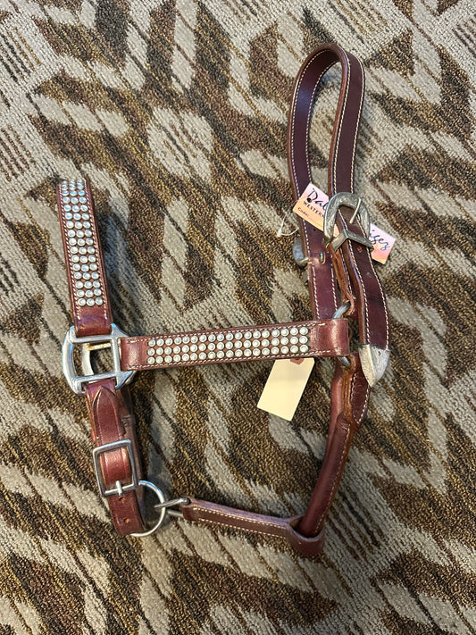 Dale Rodriges Show Halter
