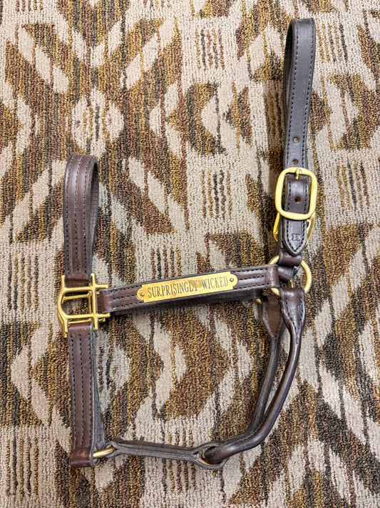 Triple Stitched Horse Leather Halter w/ Nameplate