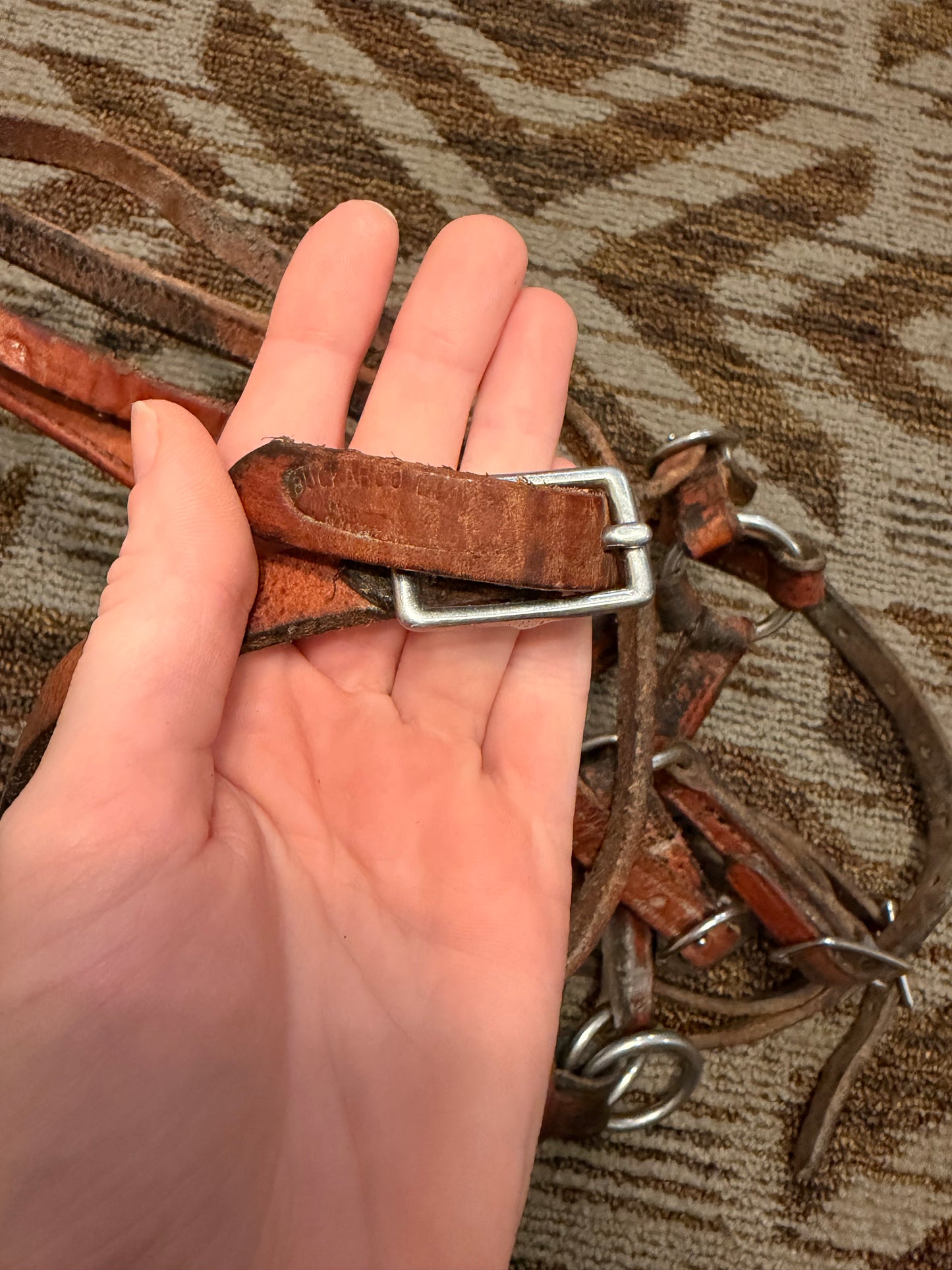 Buckaroo Bitless Bridle