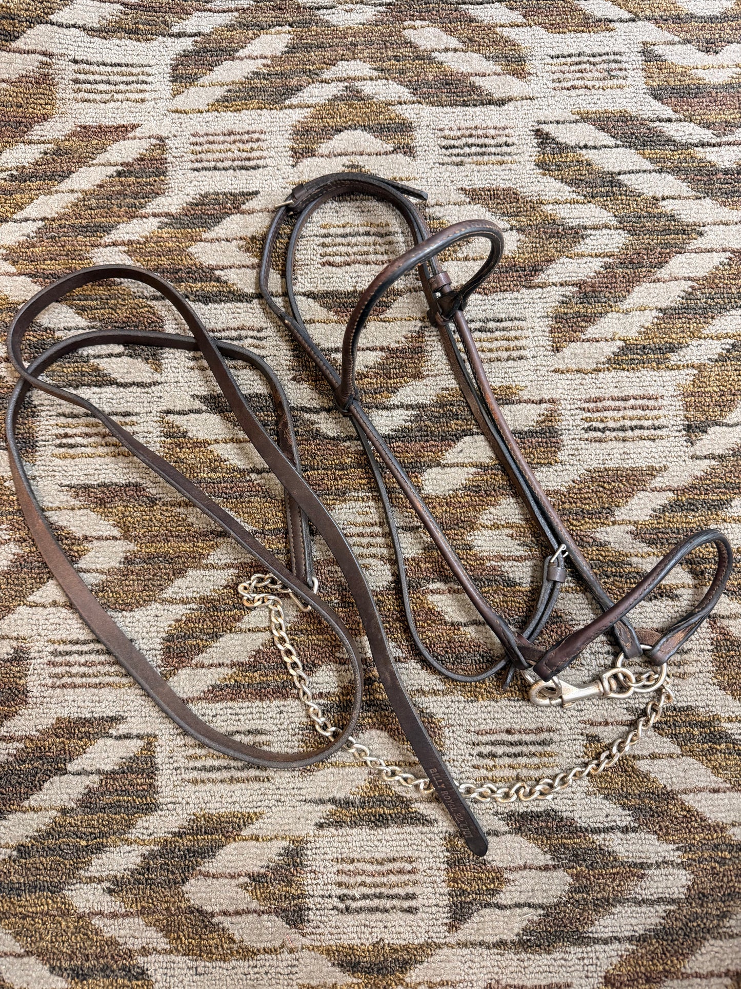 Billy Royal Arabian Show Halter w/ Lead