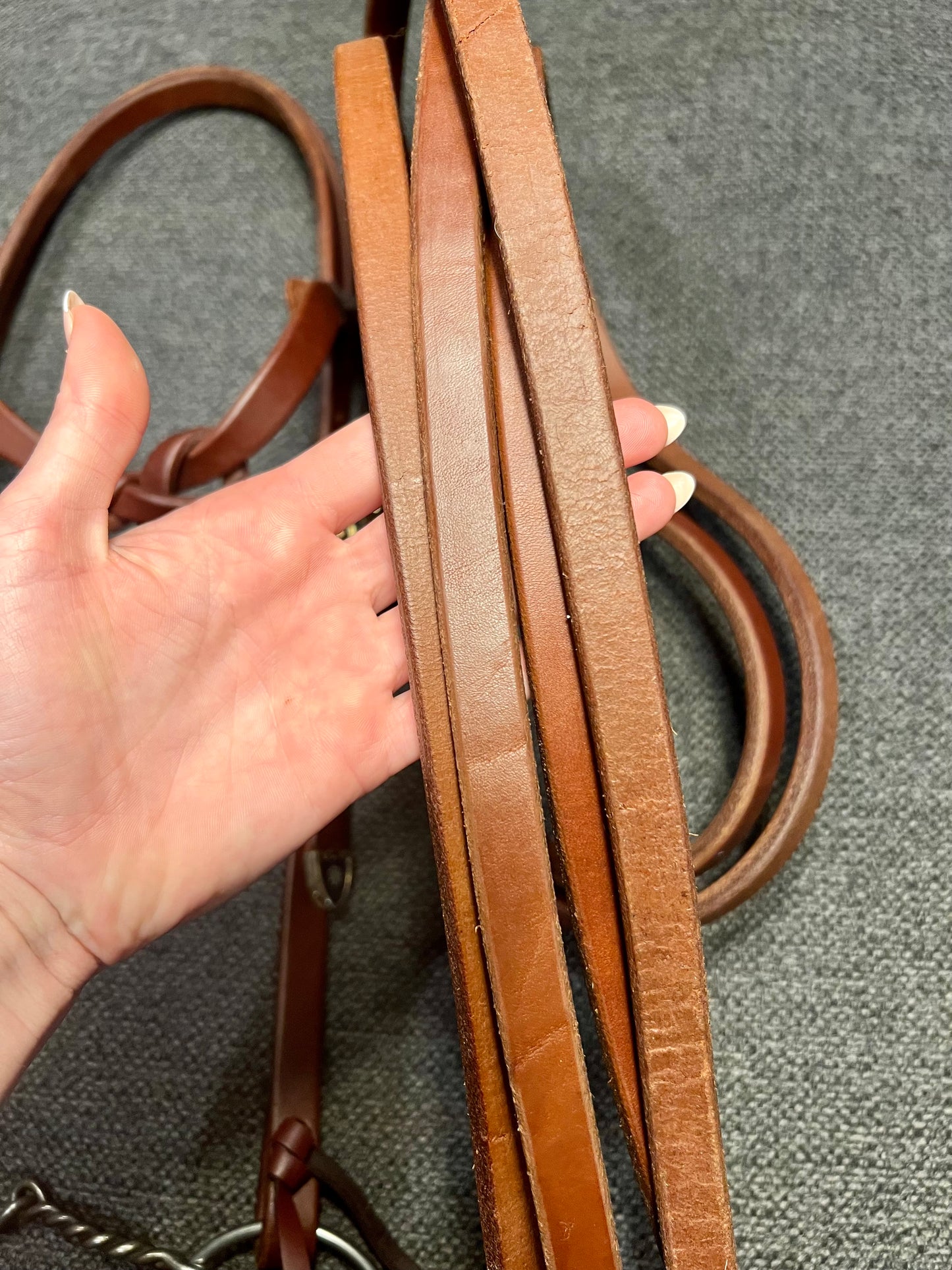 Dale Chavez Futurity Knot Bridle