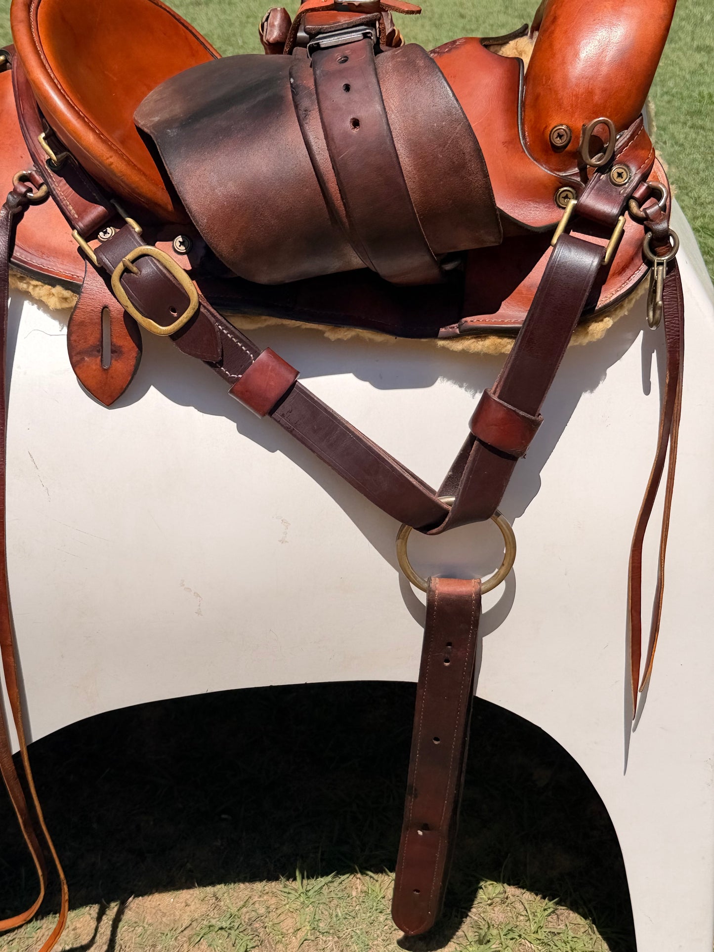 Fred Hook Trail Saddle