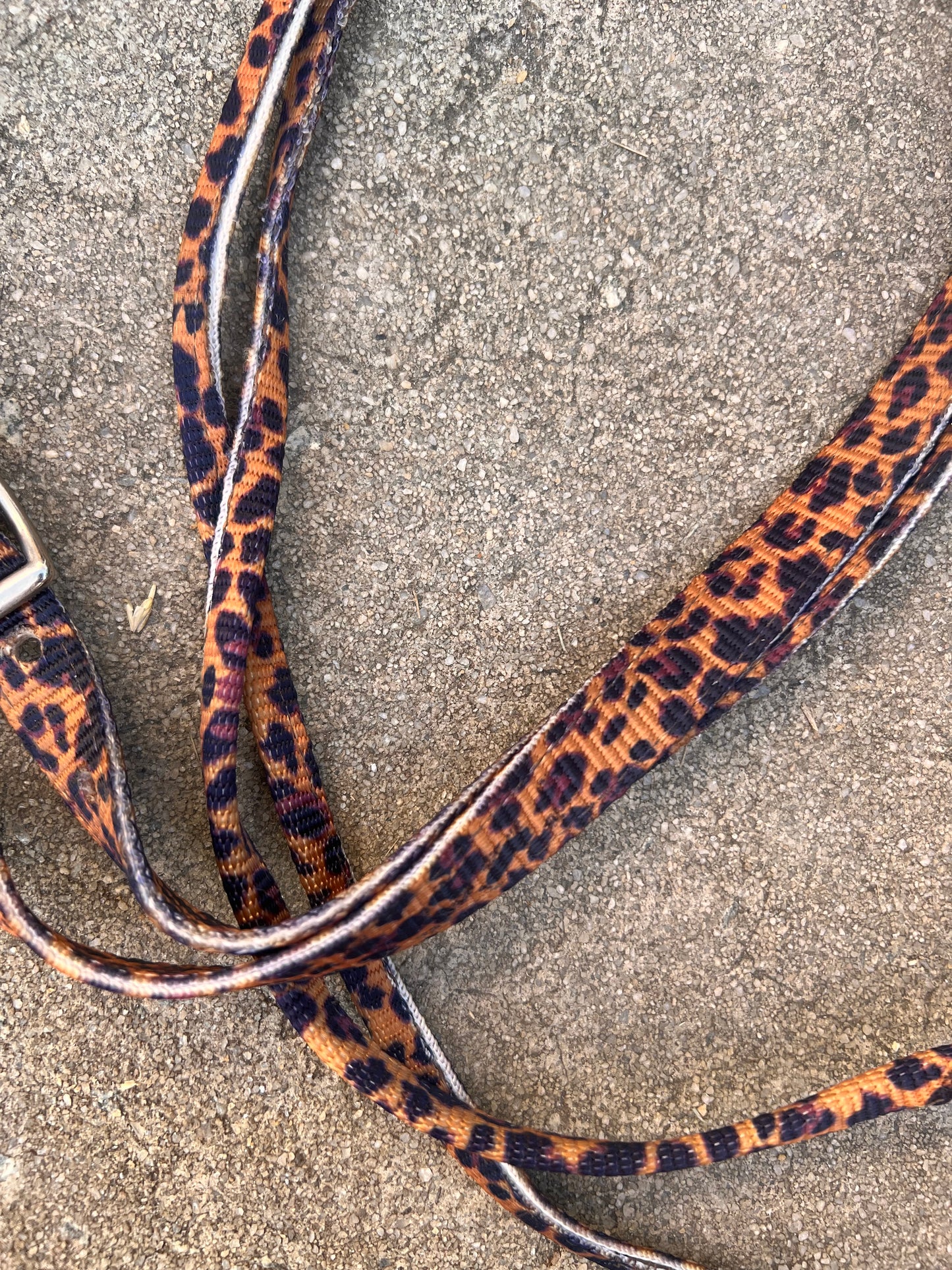 Cheetah Loop Reins