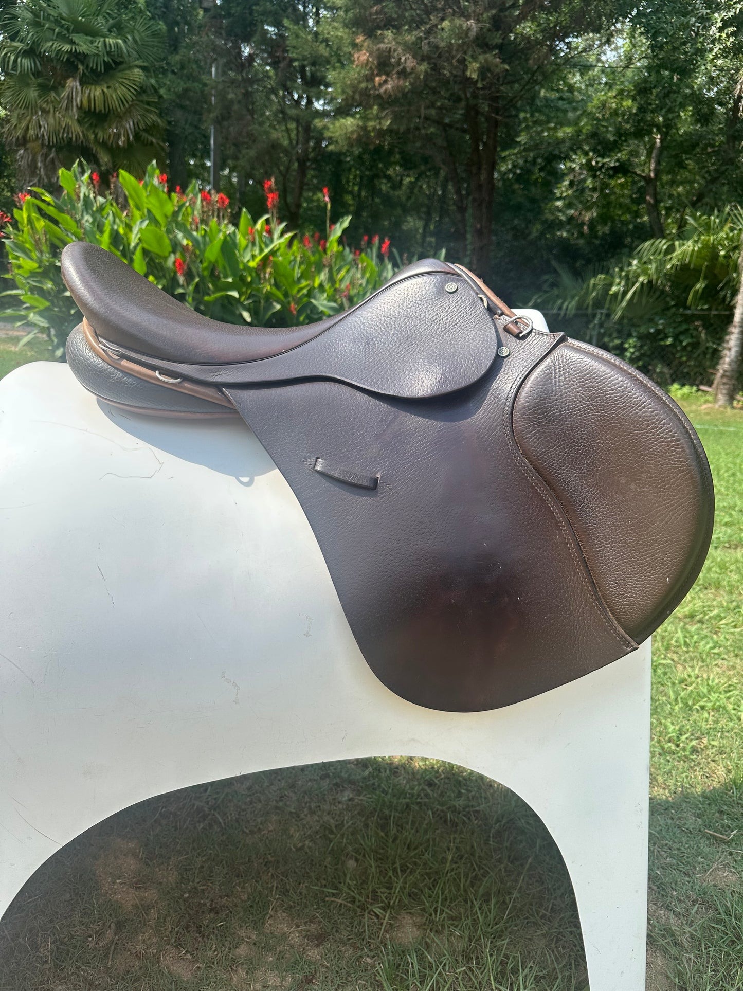 Ainsley Forward Flap Jump Saddle