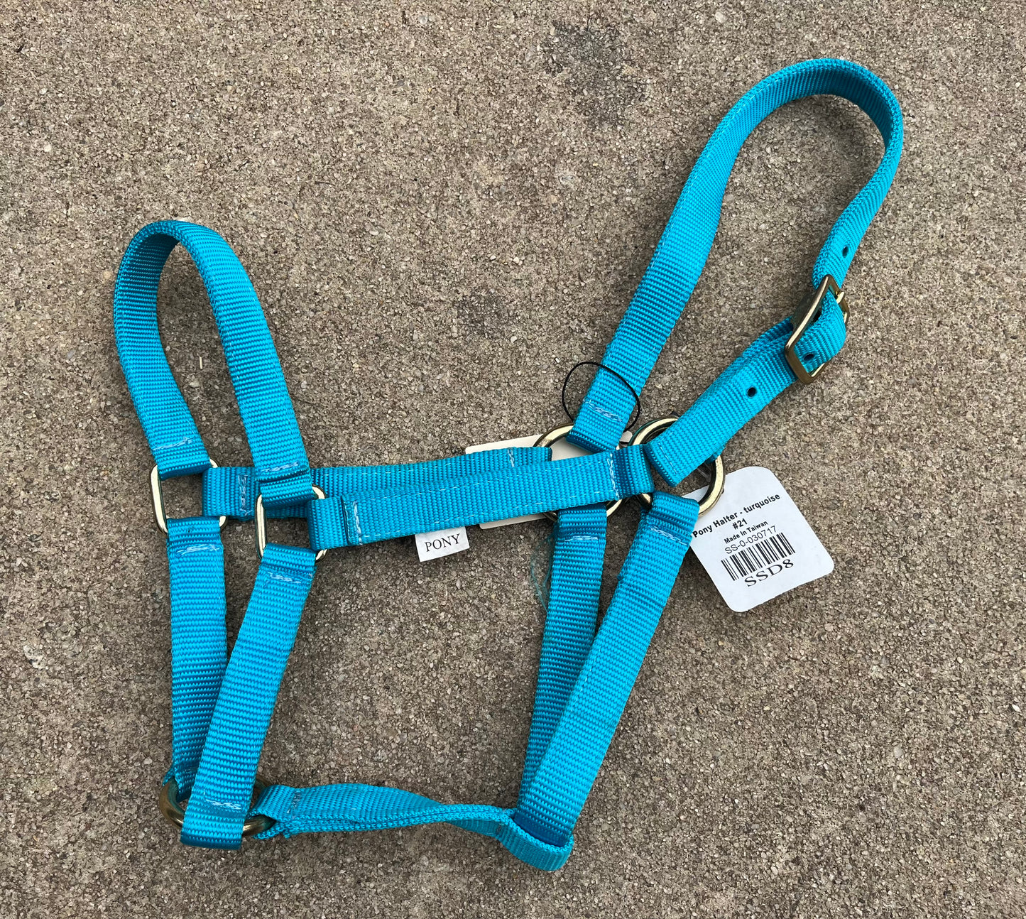 Turquoise Pony Halter