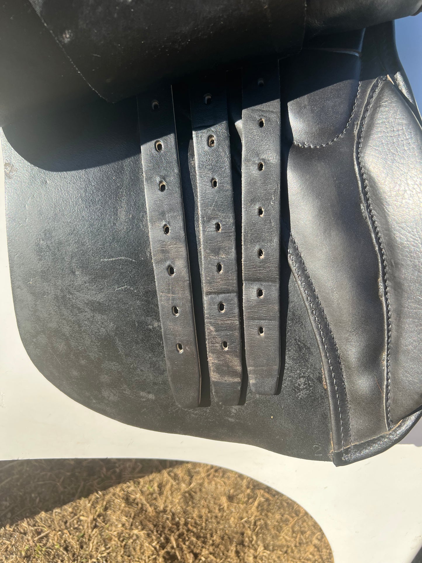 Courbette Marschal Spezial All Purpose Saddle