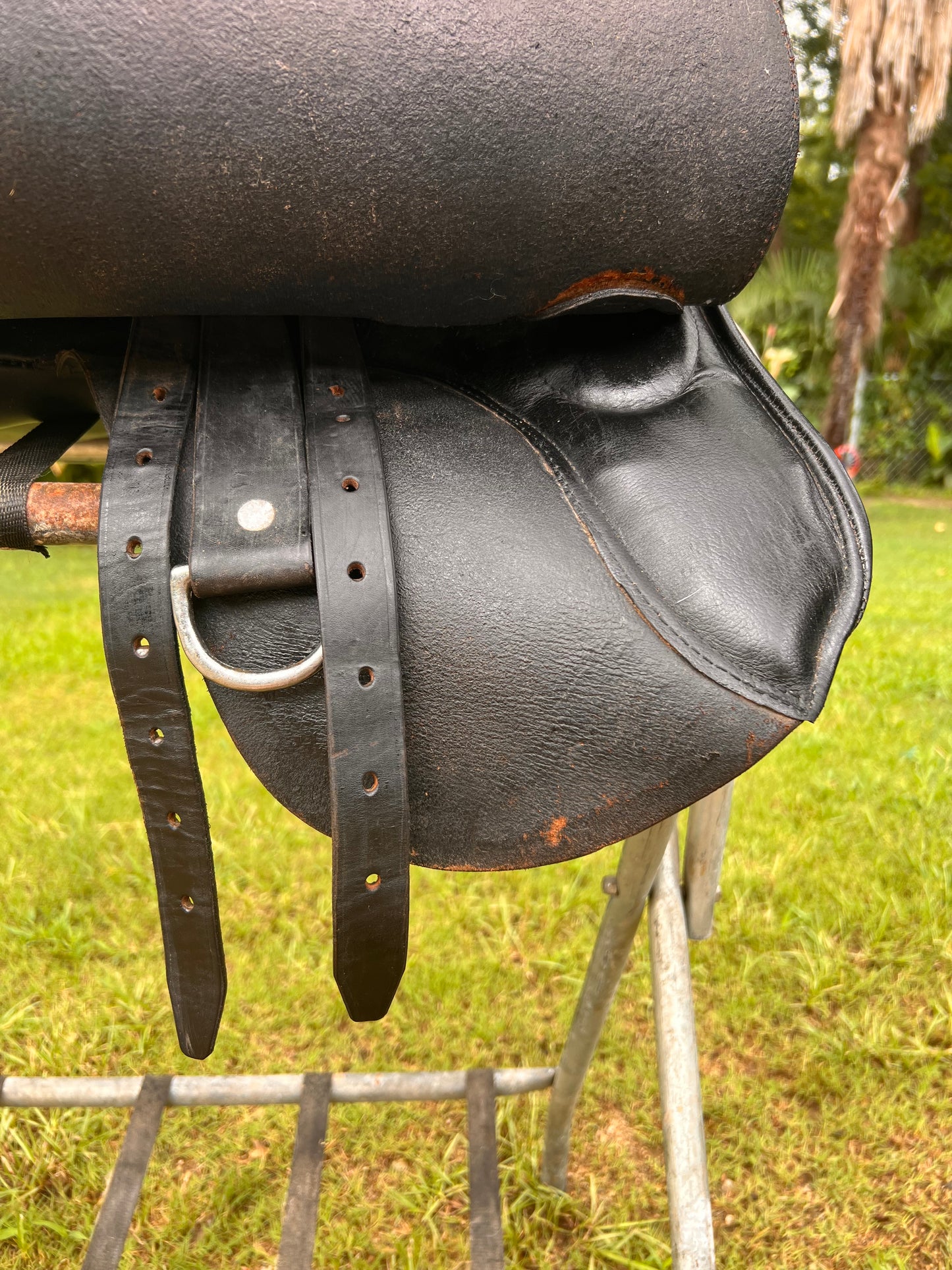 English Endurance Saddle