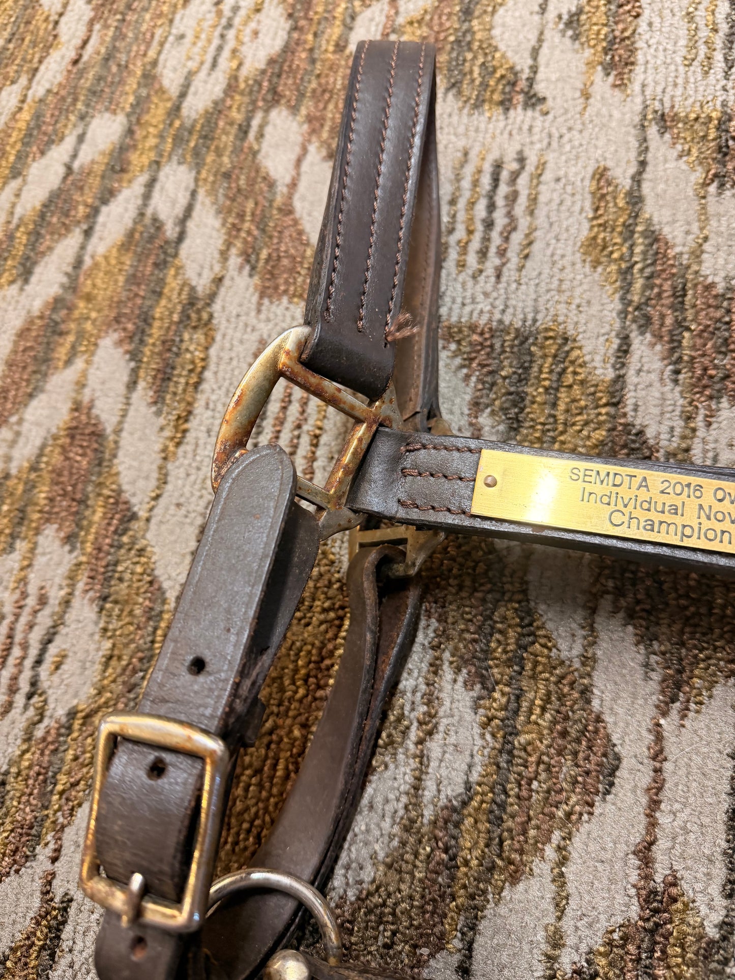 Triple Stitched Leather Halter w/ Nameplate