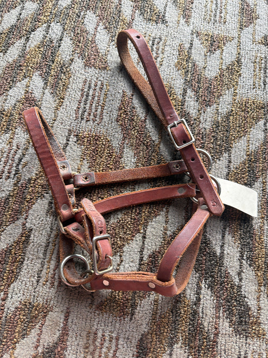 Leather Pony Halter