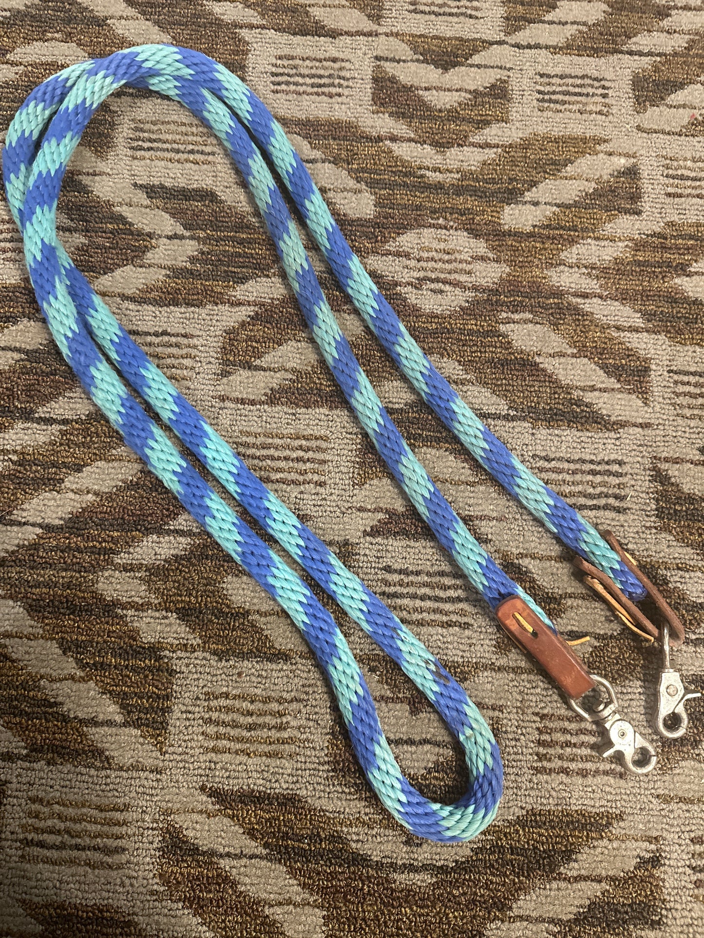 Blue Loop Reins