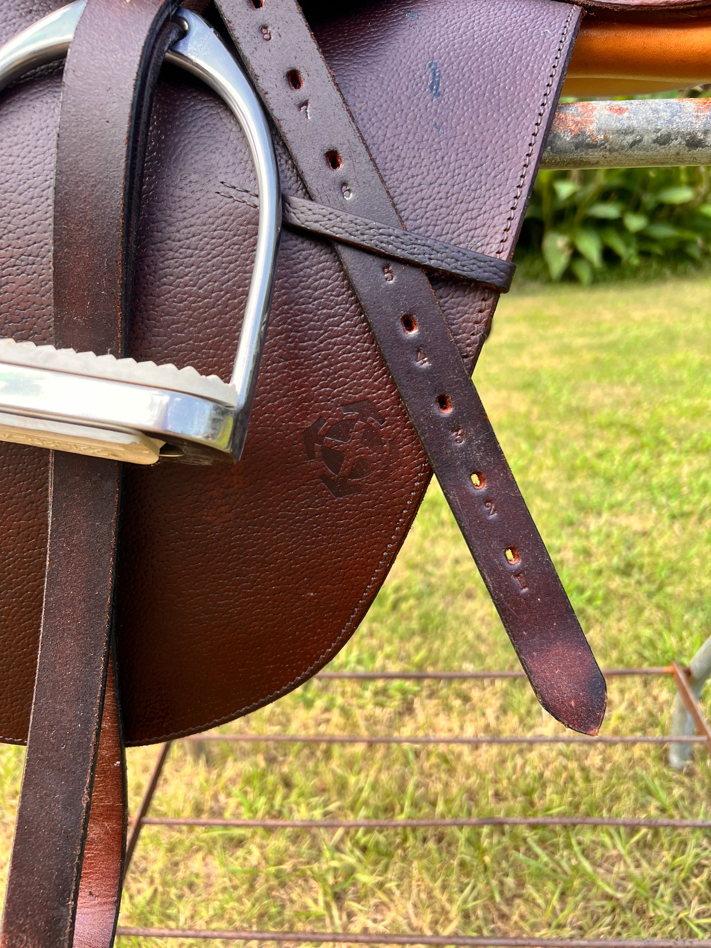 Courbette Derby Close Contact Saddle