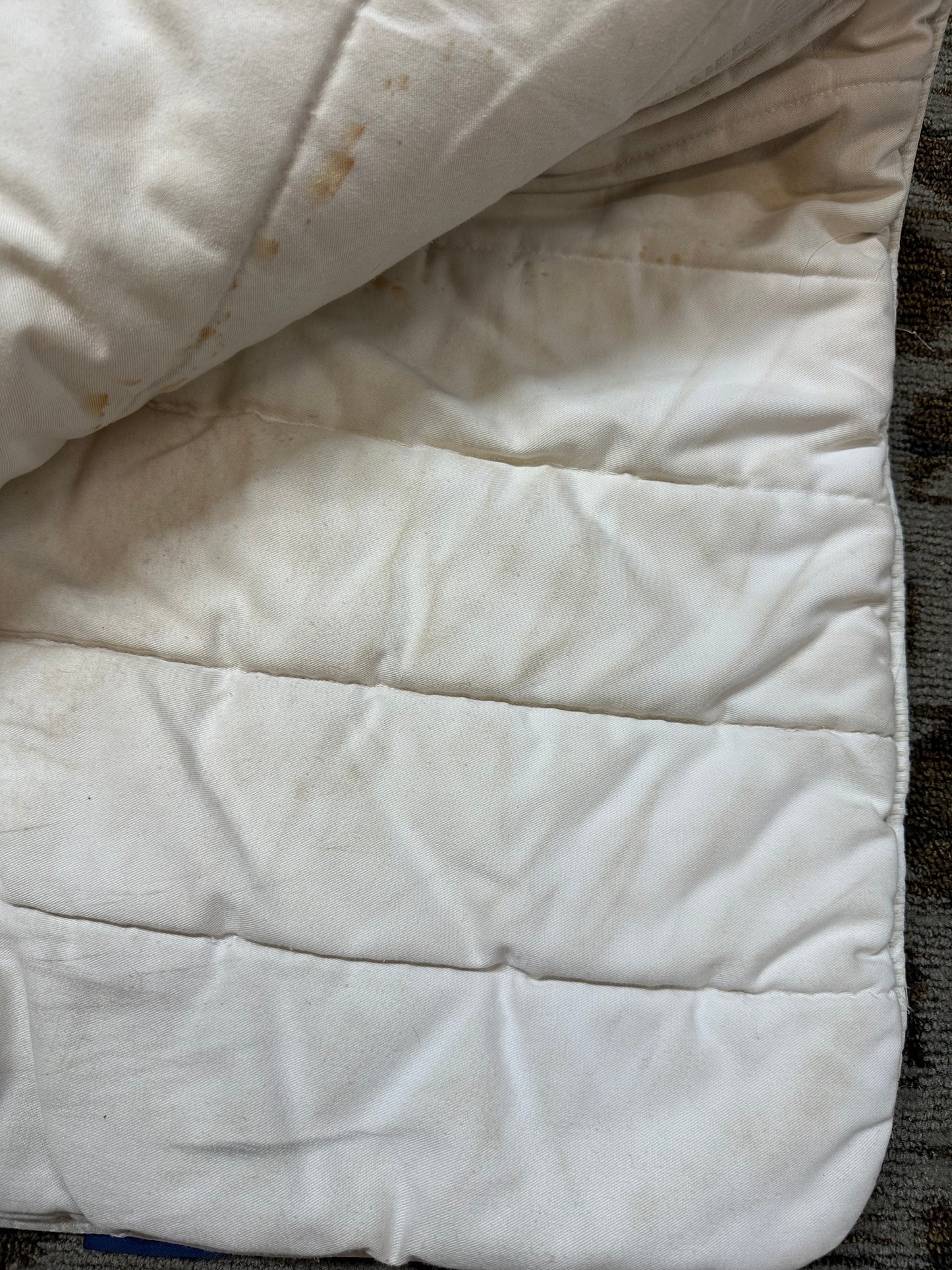 Passier Dressage Pad