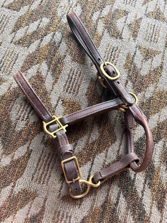 Leather Pony Halter