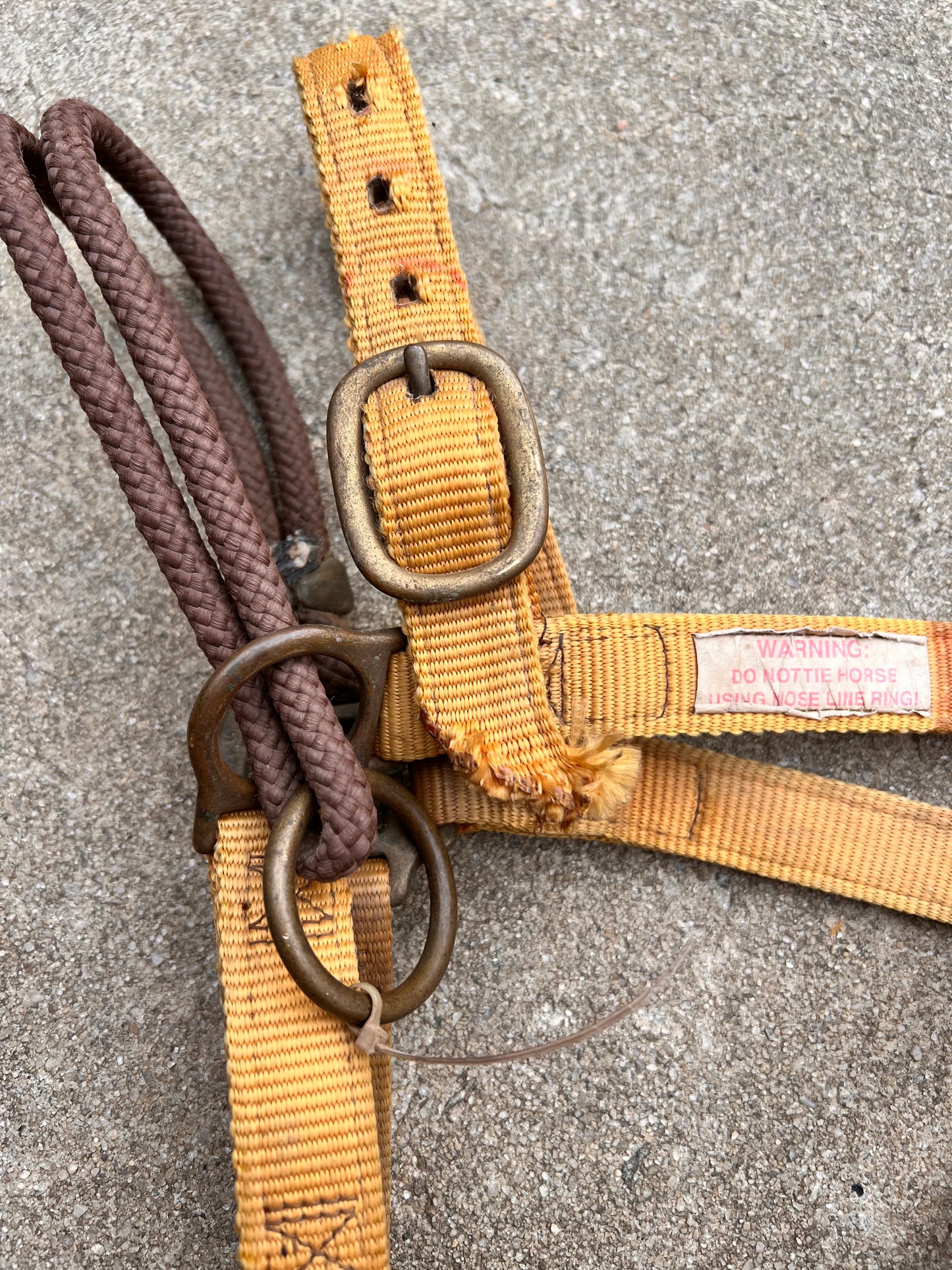 Monty Roberts Riding Halter - Cob