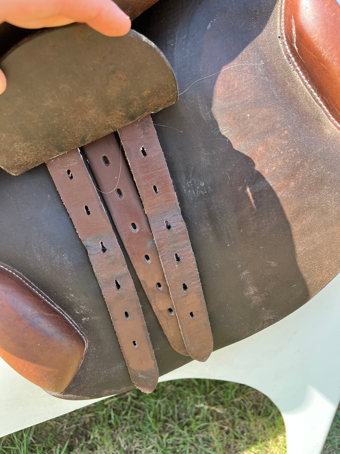 HDR Rivella Jump Saddle