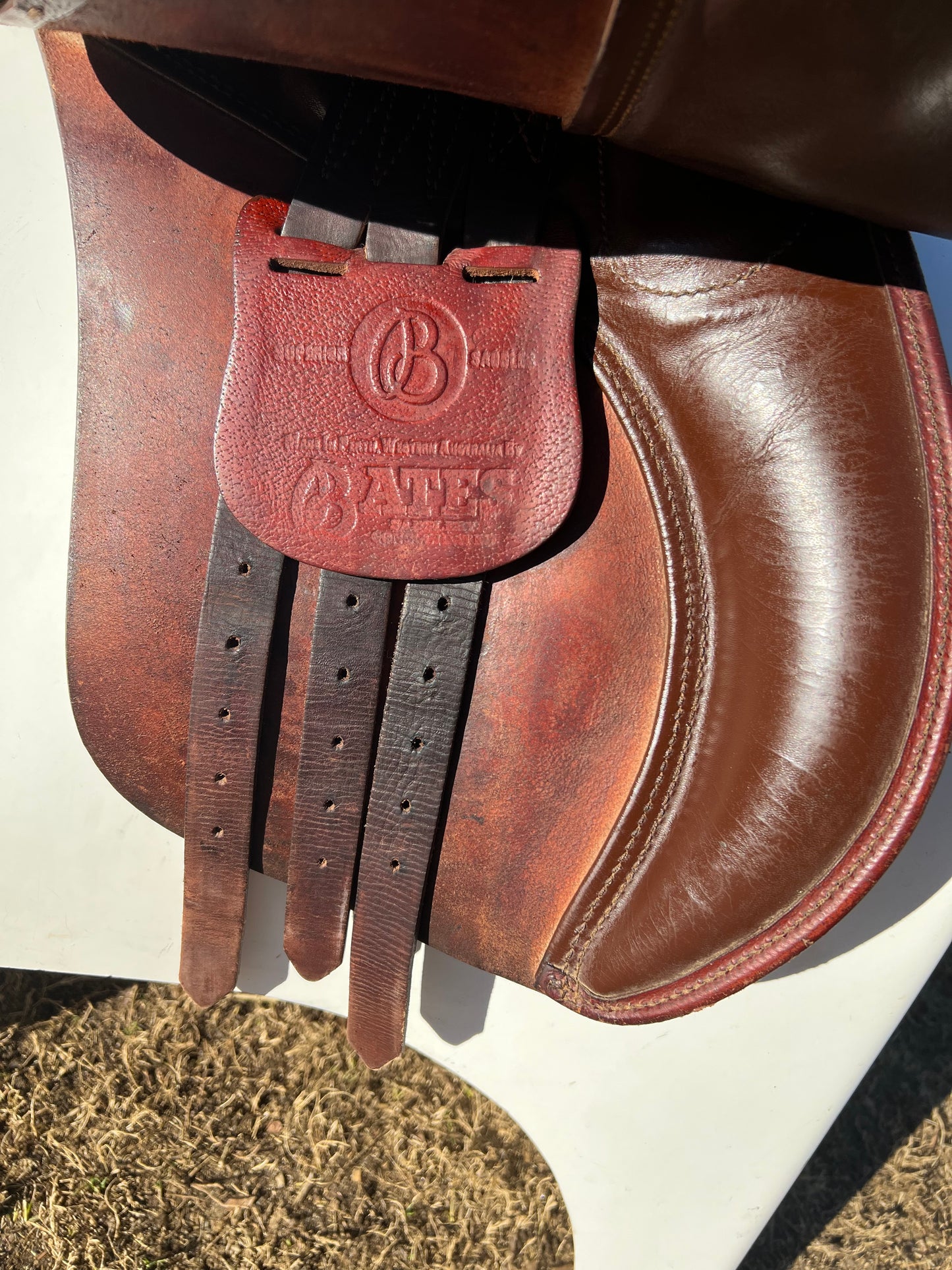 Caprilli by Bates All Purpose Saddle