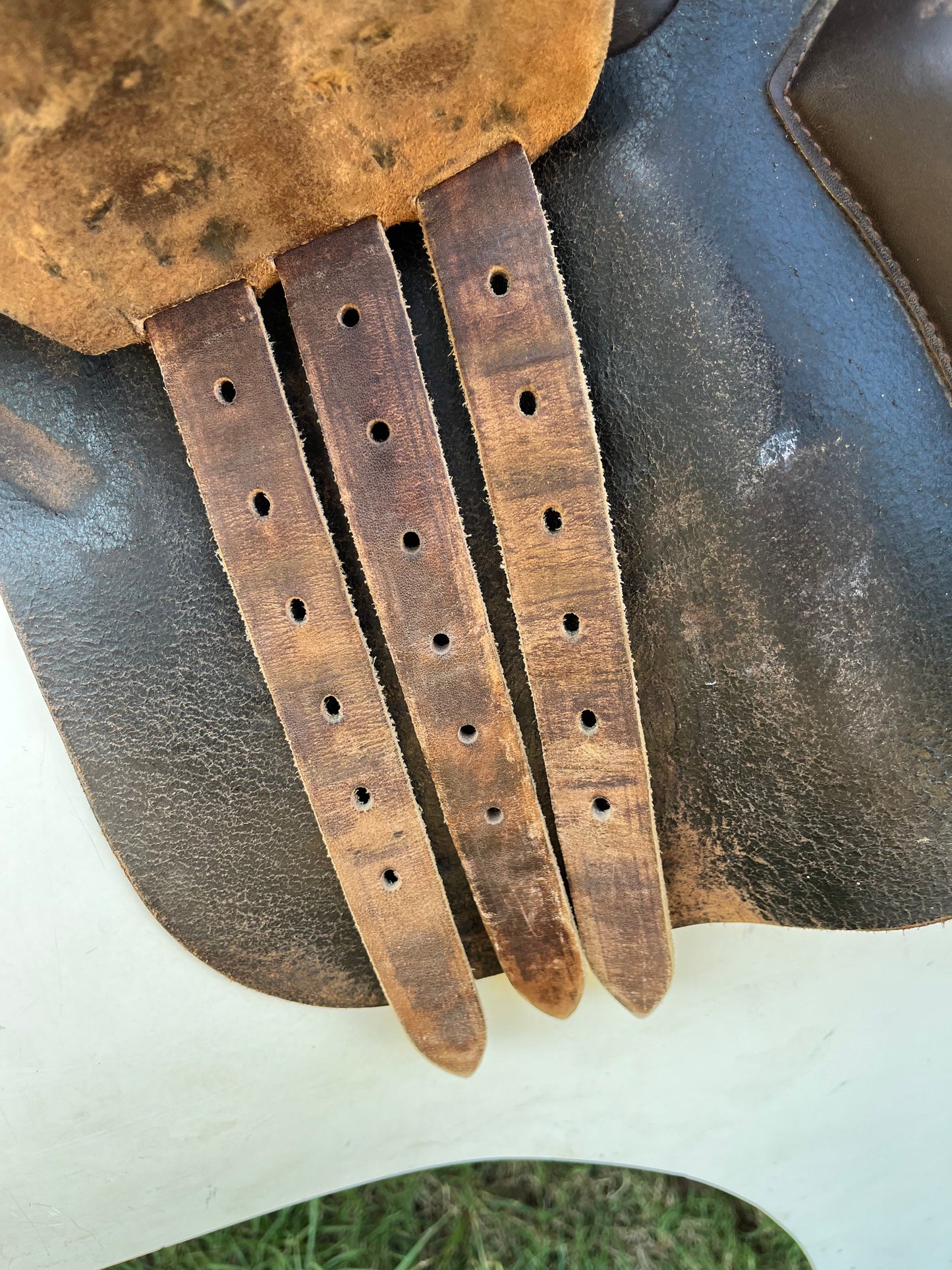 Collegiate All Purpose Saddle