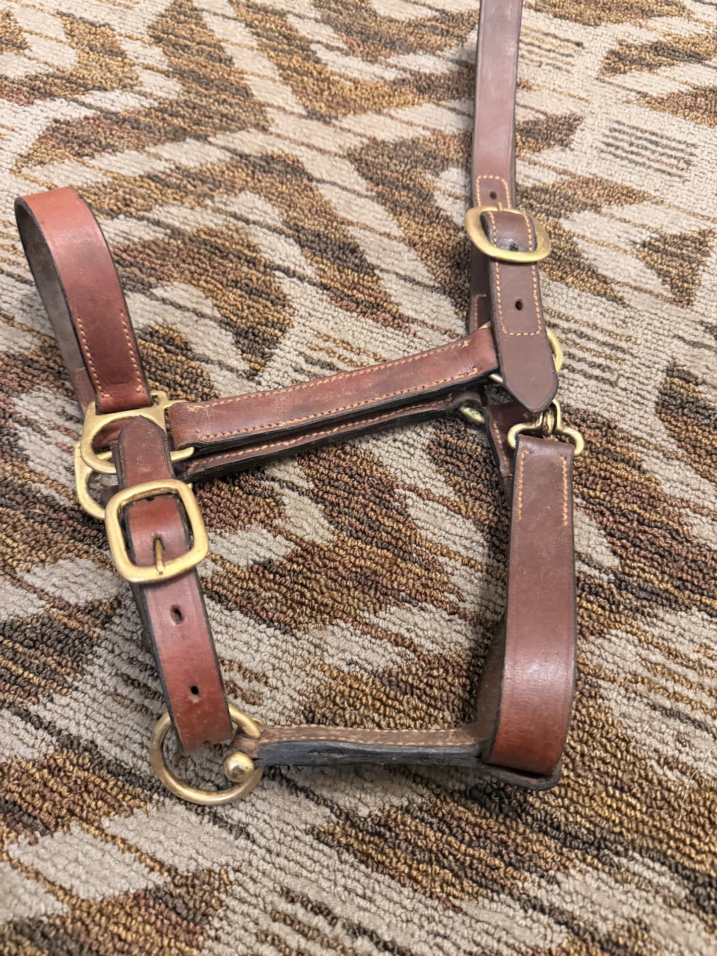 Standard Leather Halter w/ Clip