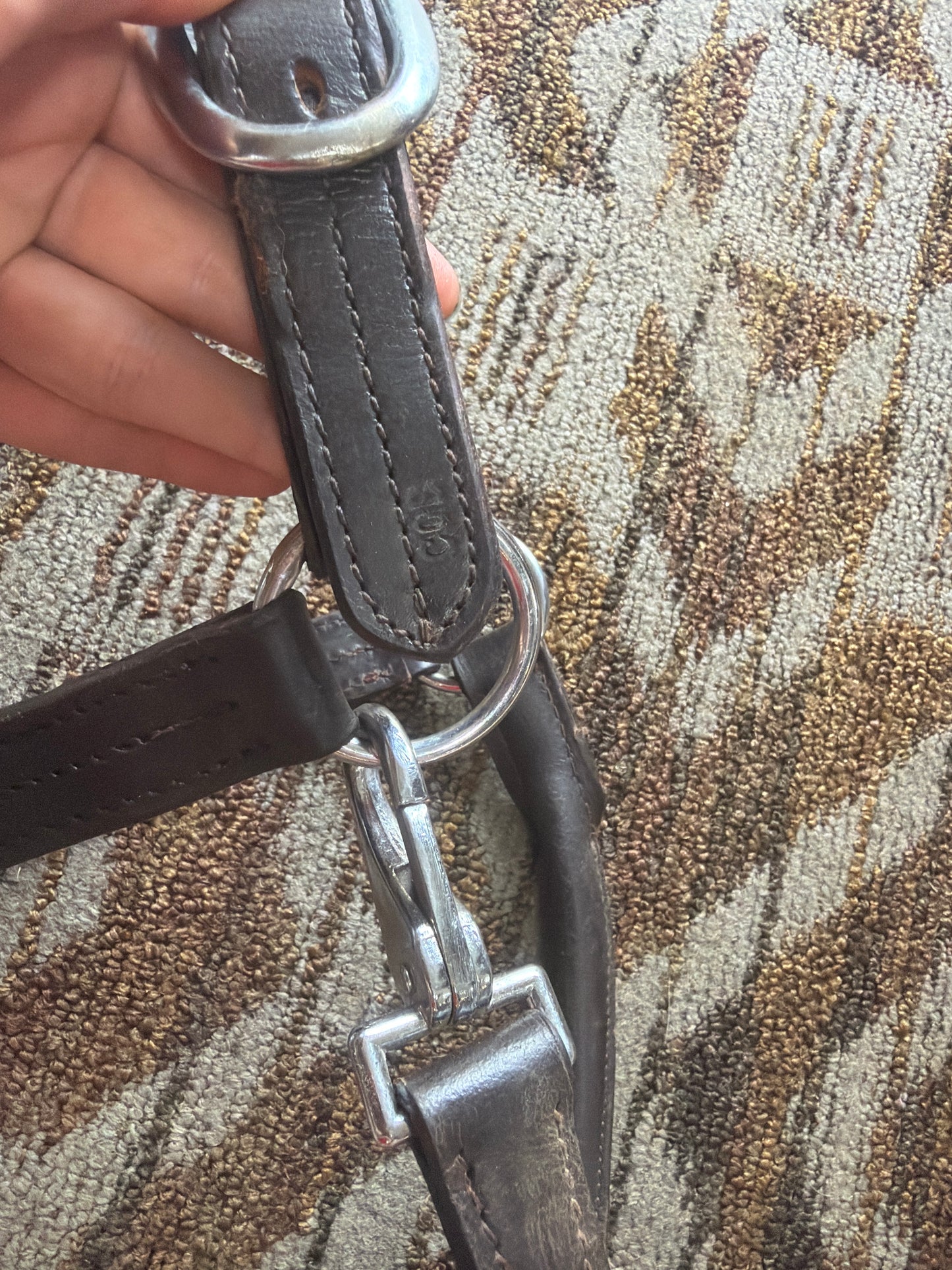 Triple Stitched Leather Halter w/ Clip